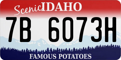 ID license plate 7B6073H
