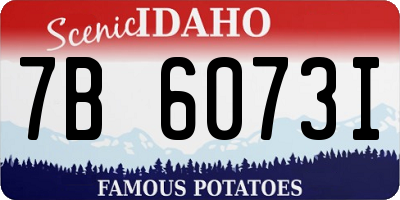 ID license plate 7B6073I