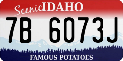 ID license plate 7B6073J