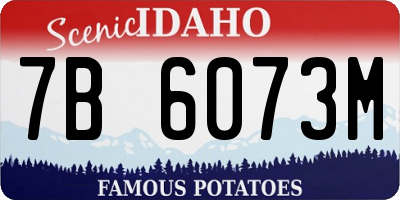 ID license plate 7B6073M