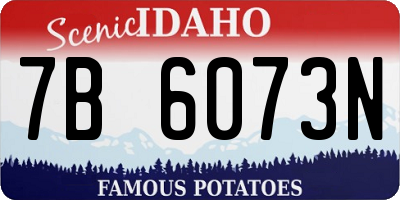 ID license plate 7B6073N
