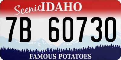 ID license plate 7B6073O