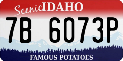 ID license plate 7B6073P
