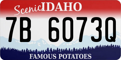 ID license plate 7B6073Q