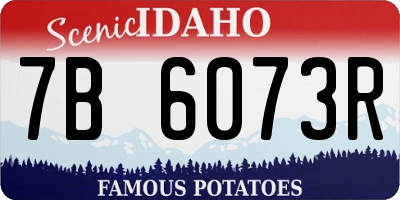 ID license plate 7B6073R