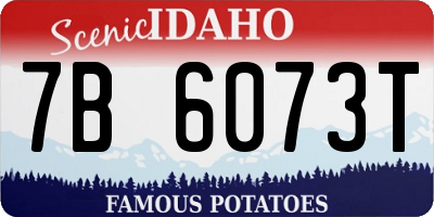 ID license plate 7B6073T