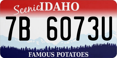ID license plate 7B6073U