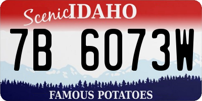 ID license plate 7B6073W