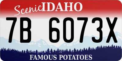 ID license plate 7B6073X
