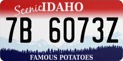 ID license plate 7B6073Z