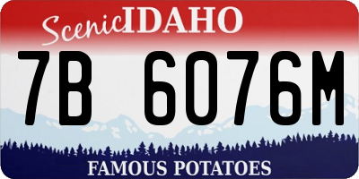 ID license plate 7B6076M