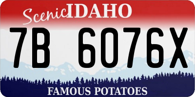 ID license plate 7B6076X