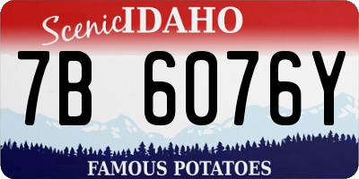 ID license plate 7B6076Y