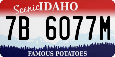 ID license plate 7B6077M