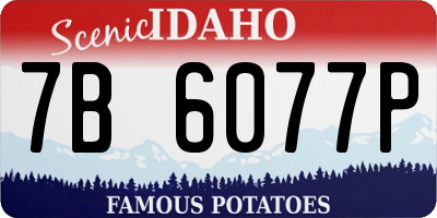 ID license plate 7B6077P