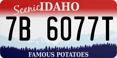 ID license plate 7B6077T