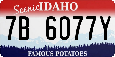 ID license plate 7B6077Y