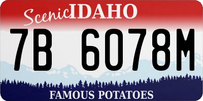 ID license plate 7B6078M