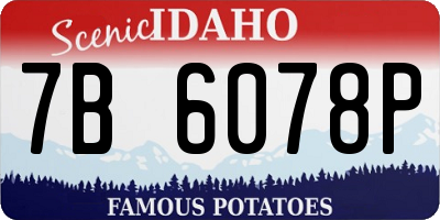 ID license plate 7B6078P