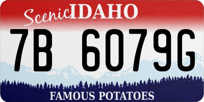 ID license plate 7B6079G