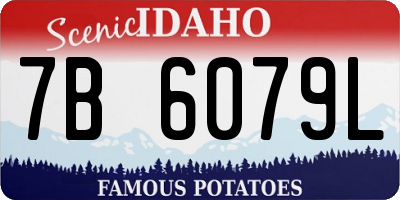 ID license plate 7B6079L