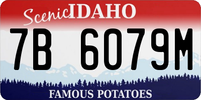 ID license plate 7B6079M
