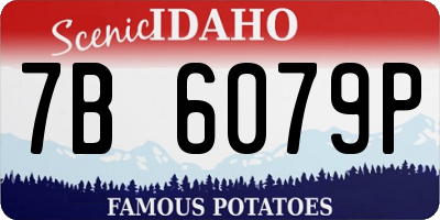 ID license plate 7B6079P