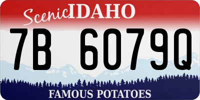 ID license plate 7B6079Q