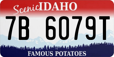 ID license plate 7B6079T