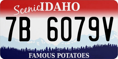 ID license plate 7B6079V
