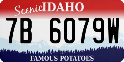 ID license plate 7B6079W