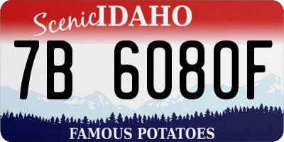 ID license plate 7B6080F