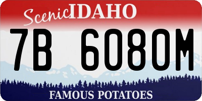ID license plate 7B6080M