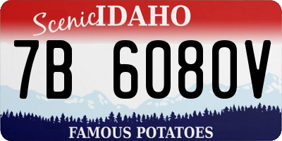 ID license plate 7B6080V