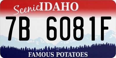 ID license plate 7B6081F