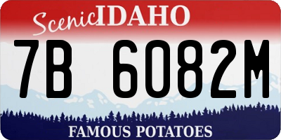 ID license plate 7B6082M