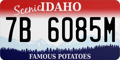 ID license plate 7B6085M
