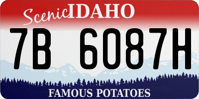 ID license plate 7B6087H