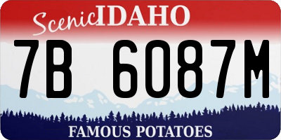 ID license plate 7B6087M
