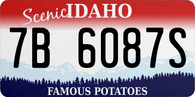 ID license plate 7B6087S