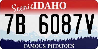 ID license plate 7B6087V
