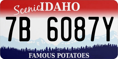 ID license plate 7B6087Y