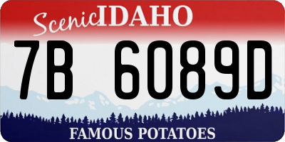ID license plate 7B6089D