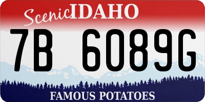 ID license plate 7B6089G