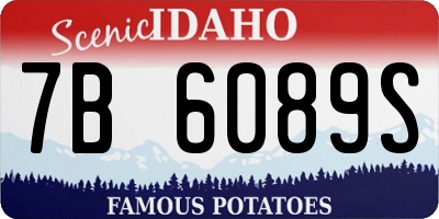 ID license plate 7B6089S