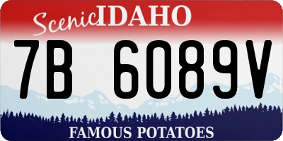 ID license plate 7B6089V