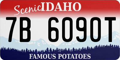 ID license plate 7B6090T