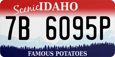 ID license plate 7B6095P