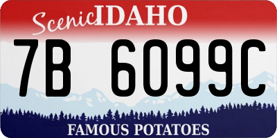 ID license plate 7B6099C