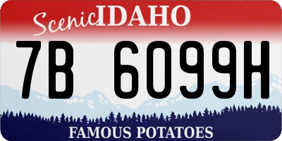 ID license plate 7B6099H